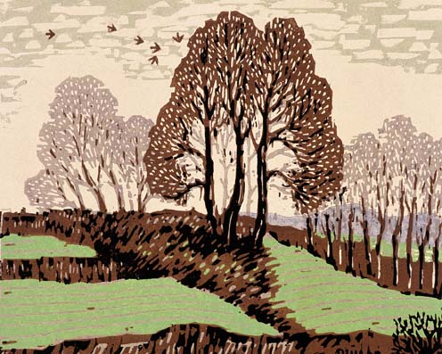 ��Ⱥ�����硷45��35.5cm��1963��